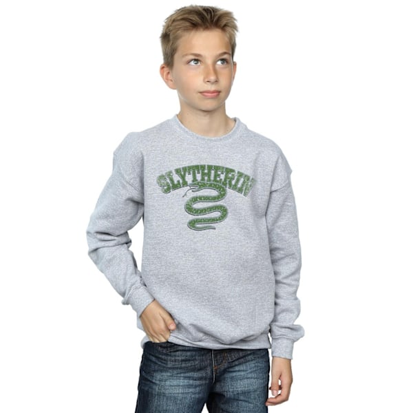 Harry Potter Pojkar Slytherin Sport Emblem Sweatshirt 7-8 År S Sports Grey 7-8 Years