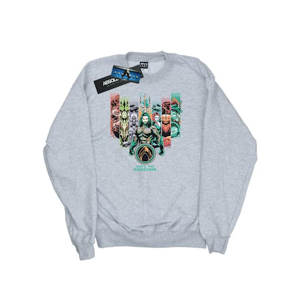DC Comics Dam/Kvinnor Aquaman Unite The Kingdoms Sweatshirt M Sports Grey M