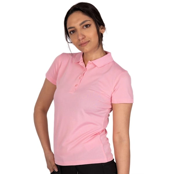 Island Green Klassisk Micro Pique Golf Polotröja för Dam Candy Pink 18 UK