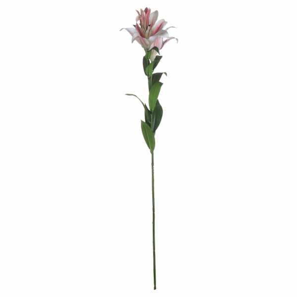 Hill Interiors Stargazer Lily One Size Vit/Rosa White/Pink One Size