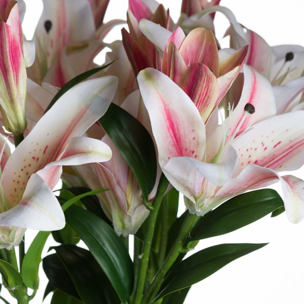 Hill Interiors Stargazer Lily One Size Vit/Rosa White/Pink One Size