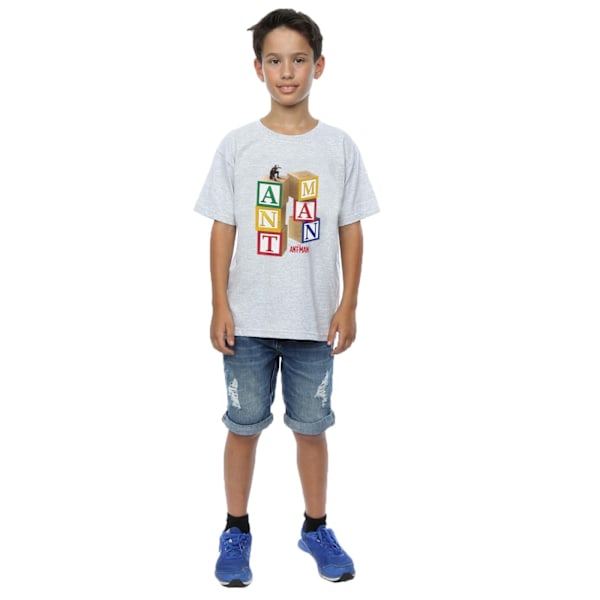 Marvel Boys Ant-Man Blocks T-shirt 12-13 år Heather Grey Heather Grey 12-13 Years