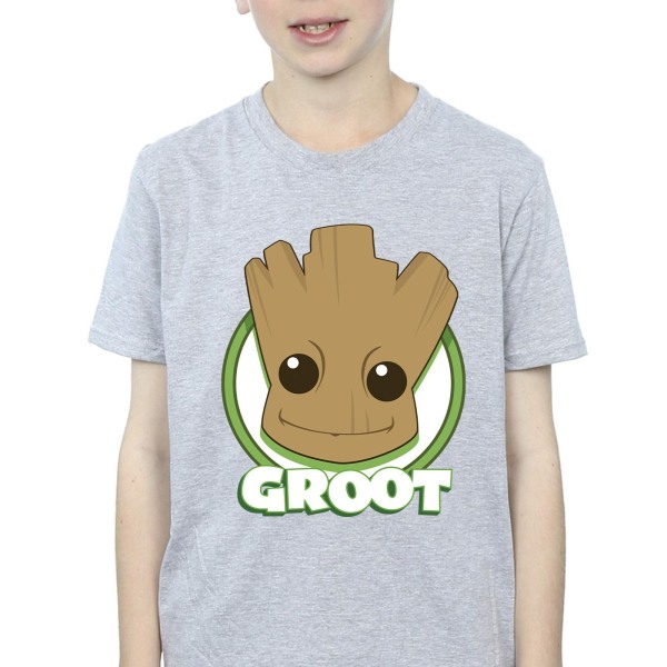 Guardians Of The Galaxy Boys Groot Badge T-shirt 7-8 Years Spor Sports Grey 7-8 Years