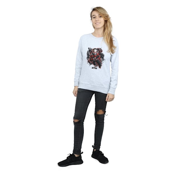 Marvel Dam/Kvinnor Ant-Man Myror Löpartröja XXL Heather Heather Grey XXL