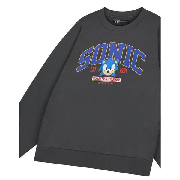 Sonic The Hedgehog Herr Världens Snabbaste Tröja 3XL Grå Grey 3XL