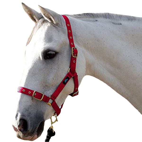 Hy Holly Fullt Justerbart Huvudlag Pony Röd Red Pony