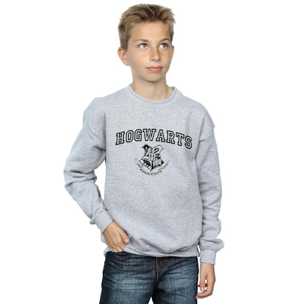 Harry Potter Pojkar Hogwarts Crest Sweatshirt 3-4 År Sports Grå Sports Grey 3-4 Years