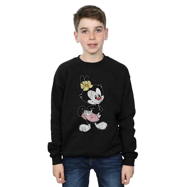 Animaniacs Boys Dot Classic Pose Sweatshirt 7-8 år Svart Black 7-8 Years