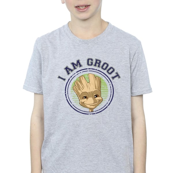 Guardians Of The Galaxy Boys Groot Varsity T-shirt 7-8 Years Sp Sports Grey 7-8 Years