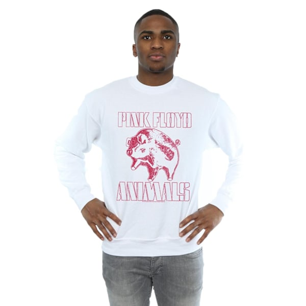 Pink Floyd Mens Animals Algie Sweatshirt 5XL Vit White 5XL