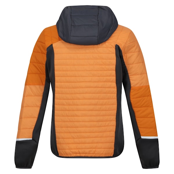 Regatta Dam/Kvinnor Trutton II Baffled Hooded Jacket 20 UK Apricot Crush/Seal Grey Apricot Crush/Seal Grey 20 UK