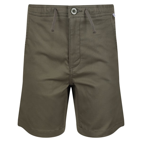 Regatta Alber Ottoman Shorts för barn 13 år Grape Leaf Grape Leaf 13 Years