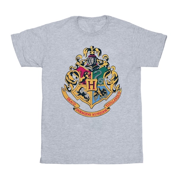 Harry Potter Pojkar Hogwarts Vapen Guldtryck T-Shirt 9-11 År Sp Sports Grey 9-11 Years