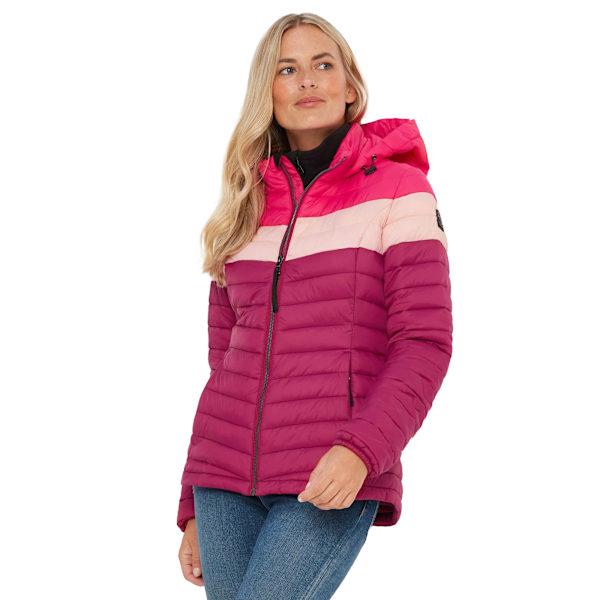 TOG24 Dam/Dam Garriston Färgblock Vadderad Jacka 16 UK Raspberry/Magenta Pink 16 UK