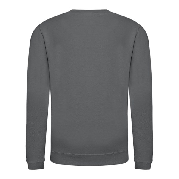 AWDis Just Hoods Barn/Barn Plain Crew Neck Sweatshirt 12-1 Storm Grey 12-13 Years