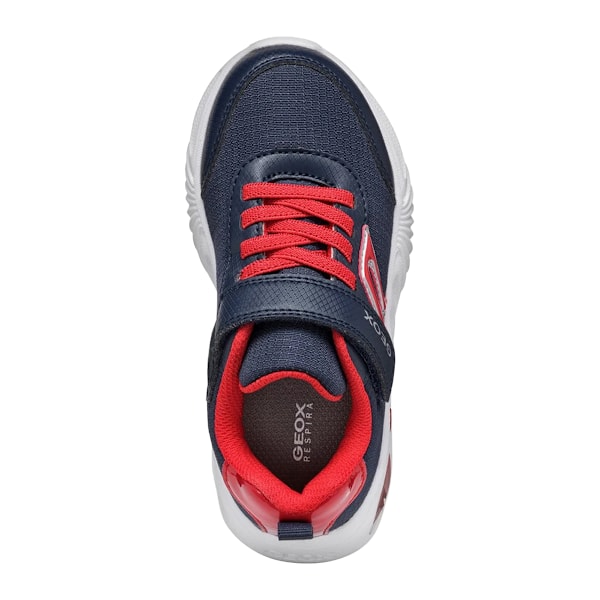 Geox Pojkar Assister B.C Träningsskor 1.5 UK Marinblå/Röd Navy/Red 1.5 UK