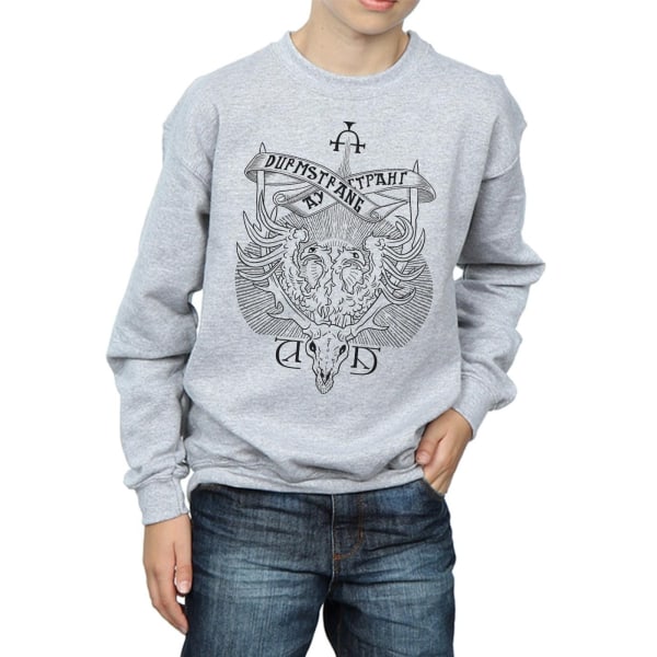 Harry Potter Pojkar Durmstrang Institute Crest Sweatshirt 12-13 Y Sports Grey 12-13 Years