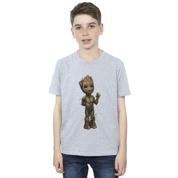 Marvel Pojkar I Am Groot Wave Pose T-Shirt 3-4 År Sportgrå Sports Grey 3-4 Years