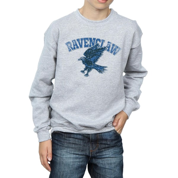 Harry Potter Pojkar Ravenclaw Sport Emblem Sweatshirt 7-8 År S Sports Grey 7-8 Years