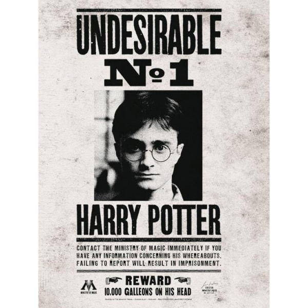 Harry Potter oönskade nr 1 inramat print 40cm x 30cm Black/White 40cm x 30cm