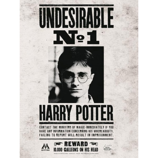 Harry Potter oönskade nr 1 inramat print 50cm x 40mm Black/White 50cm x 40mm