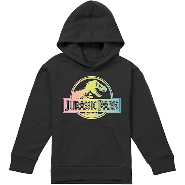 Jurassic Park Flickor Gradient Logo Hoodie 9-10 År Svart Black 9-10 Years