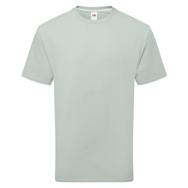 Fruit of the Loom Unisex Vuxen Bomulls T-shirt M Salvia Sage M