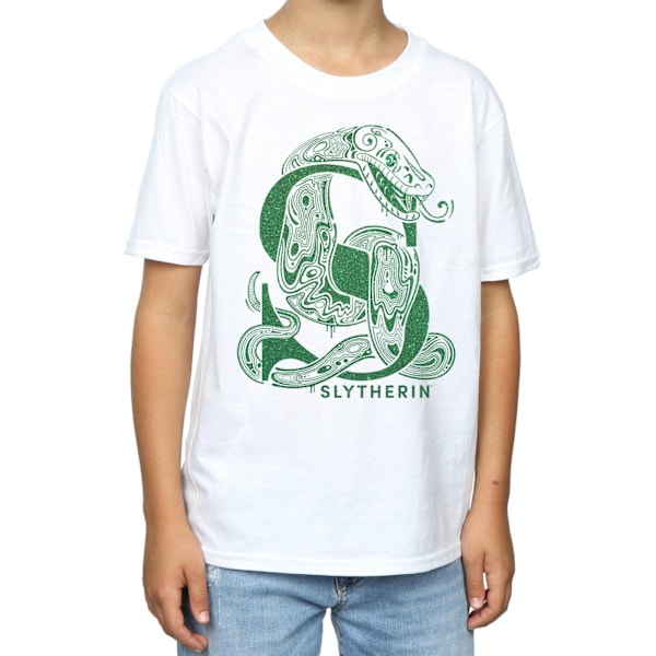 Harry Potter Boys Slytherin Glitter T-shirt 5-6 år Vit White 5-6 Years