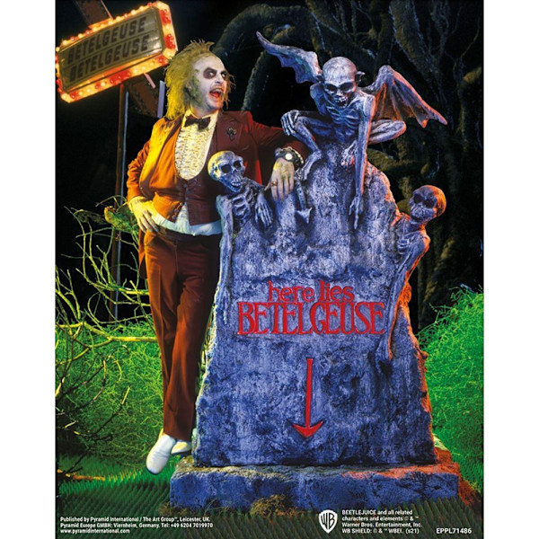 Beetlejuice Graveyard 3D-affisch 10 tum x 8 tum flerfärgad Multicoloured 10in x 8in
