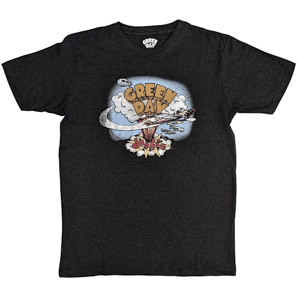 Green Day Unisex Adult Dookie Vintage T-Shirt S Grå Grey S