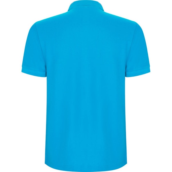 Roly Barn/Kids Pegaso Premium Kortärmad Poloshirt 7-8 Turquoise 7-8 Years