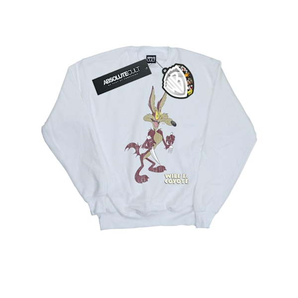 Looney Tunes Herr Wile E Coyote Distressed Sweatshirt 4XL Vit White 4XL