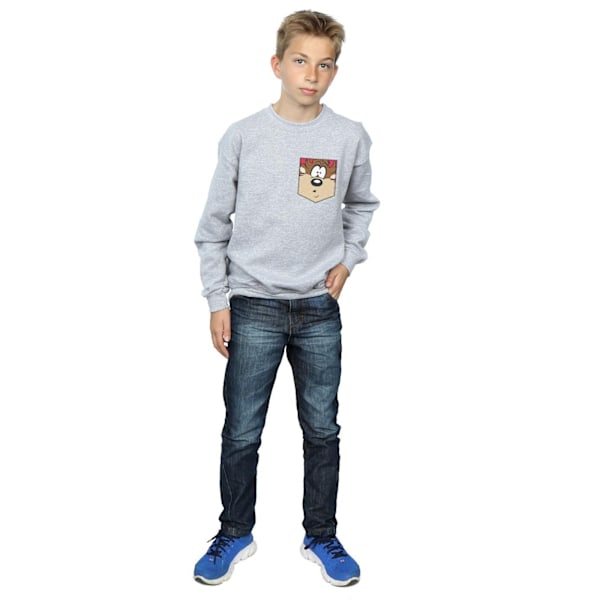 Looney Tunes Pojkar Tasmanian Devil Ansikte Faux Fick Sweatshirt 5 Sports Grey 5-6 Years