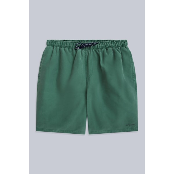 Animal Deep Dive Återvunna Boardshorts Herr M Ljusgrön Pale Green M
