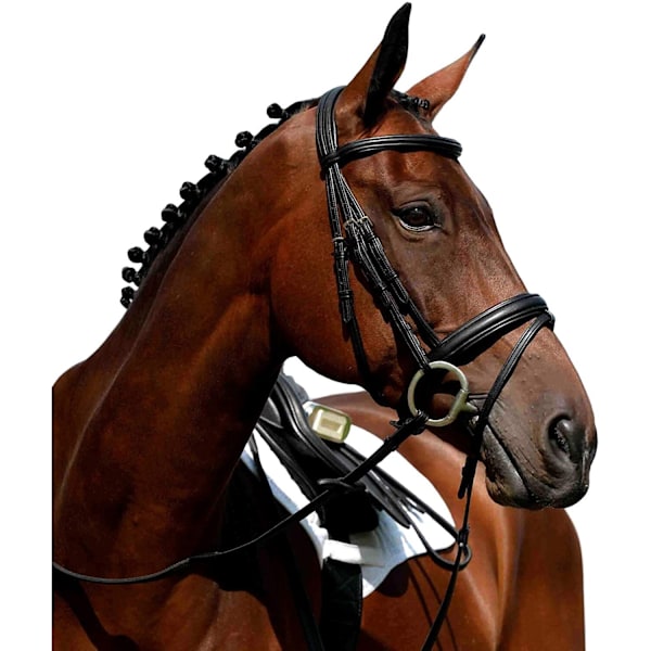 Collegiate Syntovia+ Vadderad Flash Bridle Warmblood Brun Brown Warmblood