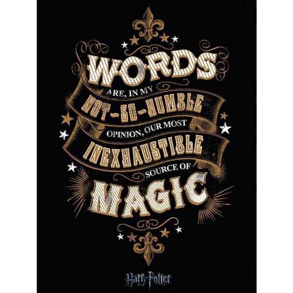 Harry Potter-ord på canvas, 80 cm x 60 cm, svart/vit/guld Black/White/Gold 80cm x 60cm