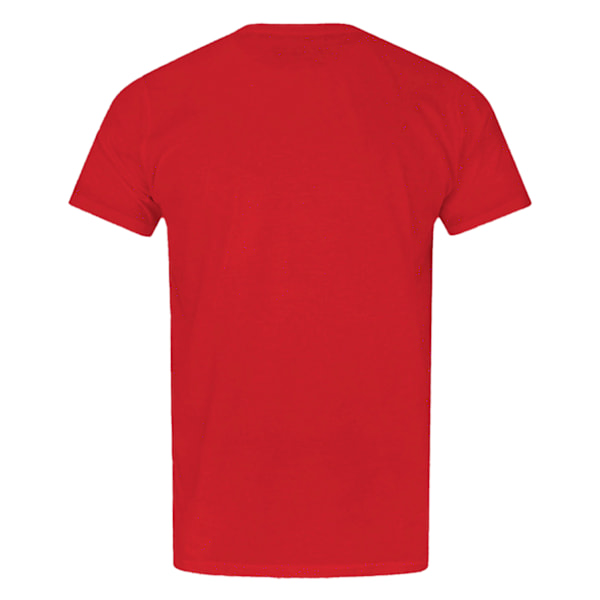 Flash Officiell Distressed Logo T-shirt 13-14 år Röd Red 13-14 Years