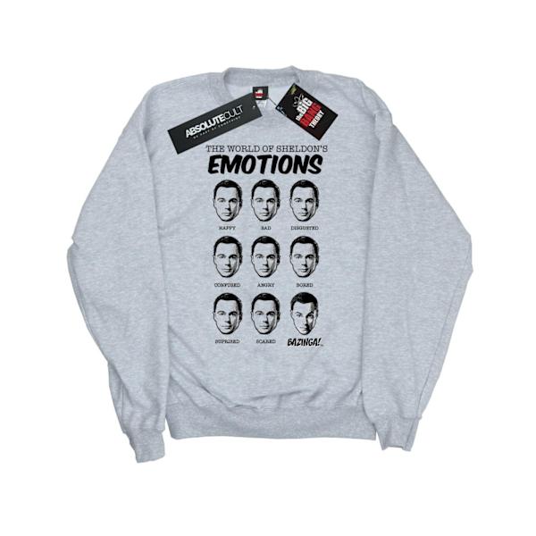 The Big Bang Theory Girls Sheldon Emotions Sweatshirt 7-8 år Sports Grey 7-8 Years