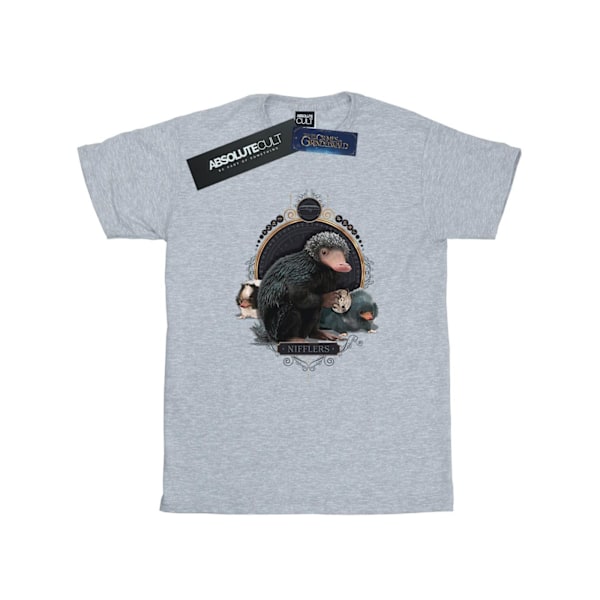 Fantastiska vidunder Kvinnor/Damer Baby Nifflers Bomull Boyfriend T Sports Grey XL