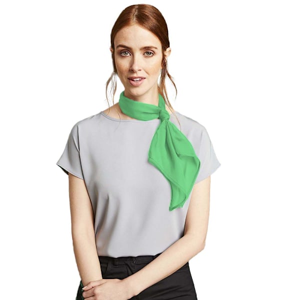 Premier Dam/Kvinnor Arbets Chiffon Formell Scarf En Storlek Apple Apple One Size