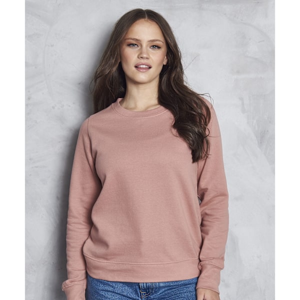 Awdis Dam/Dam Sweatshirt XS Dusty Pink Dusty Pink XS