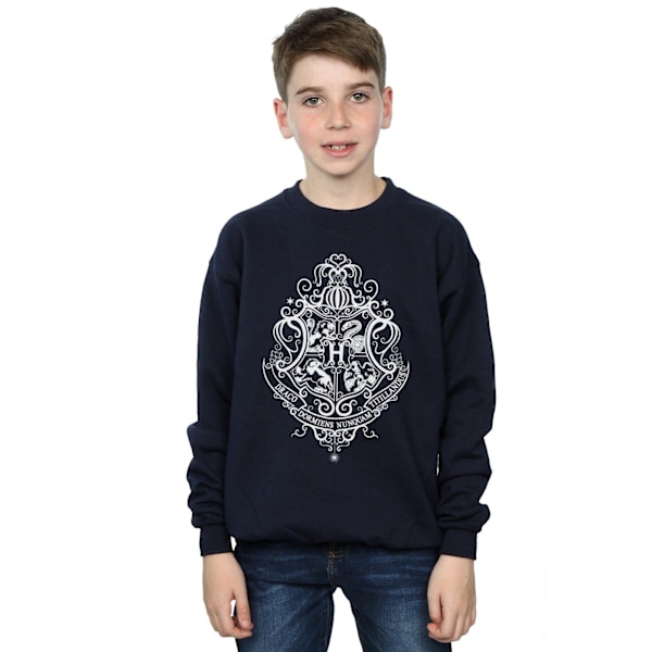 Harry Potter Boys Hogwarts Draco Dormiens Crest Sweatshirt 7-8 Navy Blue 7-8 Years