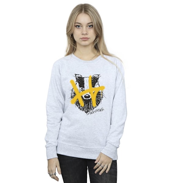 Harry Potter Dam/Kvinnor Hufflepuff Pop Spray Sweatshirt L Sp Sports Grey L