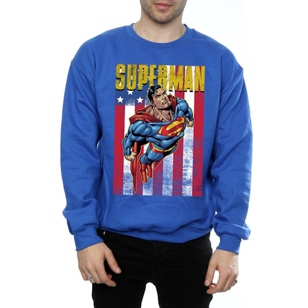 Superman Herr Flight Sweatshirt S Kungsblå Royal Blue S