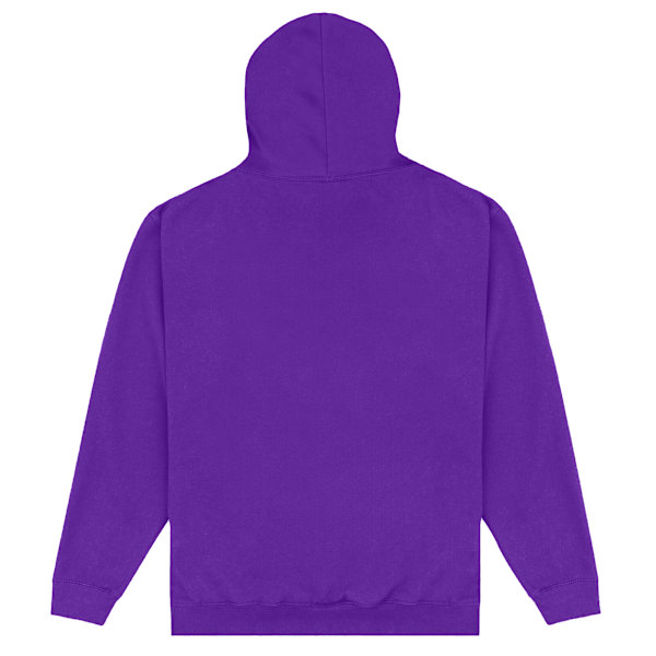 Terraria Unisex Vuxen Sedan 2011 Hoodie L Lila Purple L