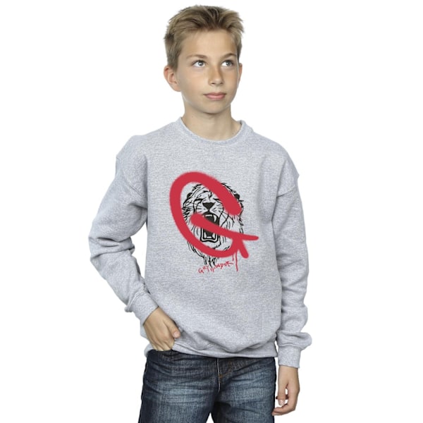 Harry Potter Boys Gryffindor Pop Spray Sweatshirt 5-6 år Spo Sports Grey 5-6 Years