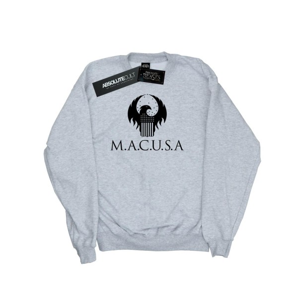 Fantastic Beasts Girls MACUSA Logo Sweatshirt 5-6 Years Sports Sports Grey 5-6 Years