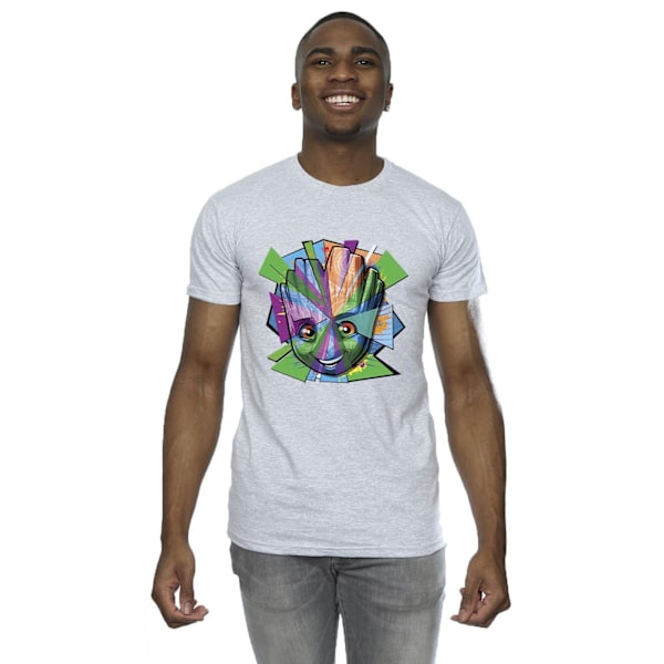 Marvel Herr Guardians Of The Galaxy Groot Shattered T-Shirt S S Sports Grey S