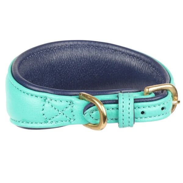 Digby & Fox Läderfodrat Greyhound Hundhalsband M - Halslinje: 2 Teal M - Neckline: 29cm-34cm