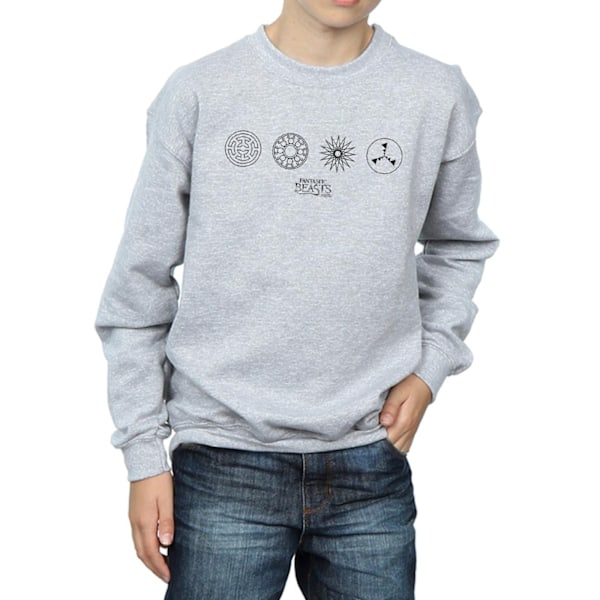 Fantastic Beasts Boys Circular Icons Sweatshirt 5-6 år Sport Sports Grey 5-6 Years